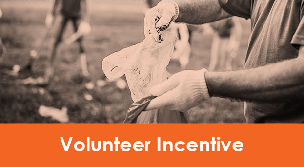 volunteer incentive card