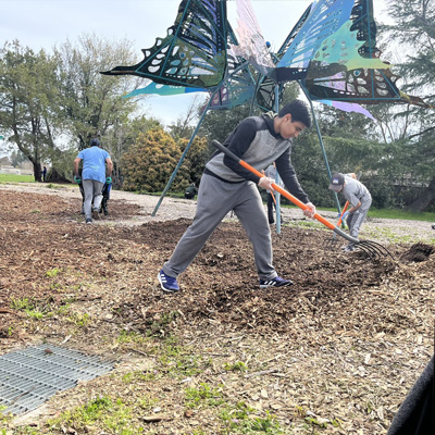 Residents and the Davis Parks department removed trash, spread mulch, pulled weeds at Walnut Park