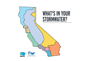 What's In Your Storm Water 1080 x 1080px JPG