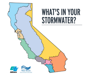 What's in Your Storm Water Infographic