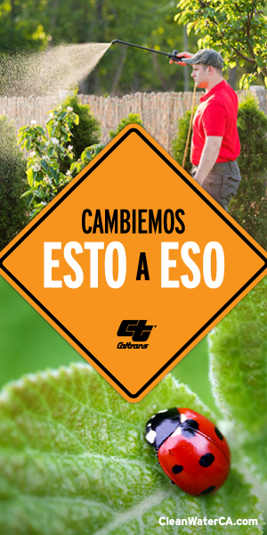 Let's change this to that - Pesticides  Spanish 300 x 600 pixels.